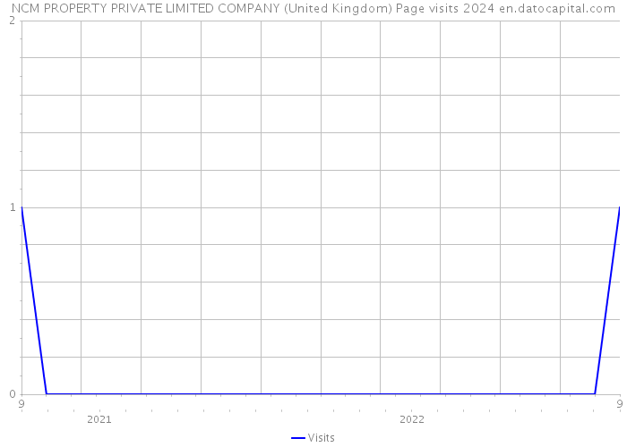 NCM PROPERTY PRIVATE LIMITED COMPANY (United Kingdom) Page visits 2024 