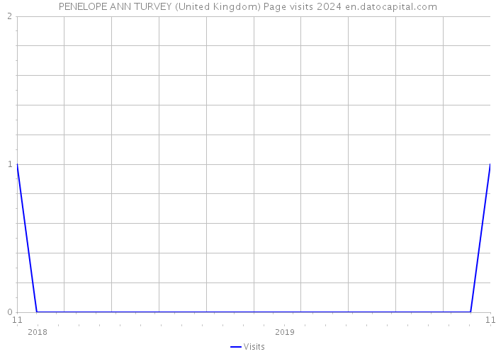 PENELOPE ANN TURVEY (United Kingdom) Page visits 2024 
