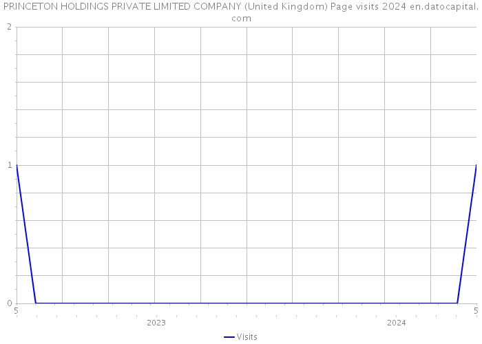 PRINCETON HOLDINGS PRIVATE LIMITED COMPANY (United Kingdom) Page visits 2024 