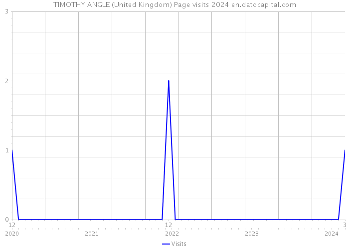 TIMOTHY ANGLE (United Kingdom) Page visits 2024 