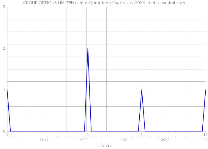 GROUP OPTIONS LIMITED (United Kingdom) Page visits 2024 