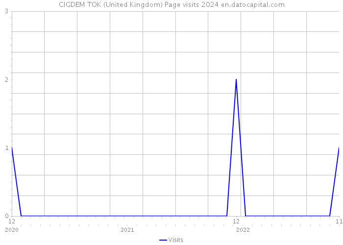 CIGDEM TOK (United Kingdom) Page visits 2024 