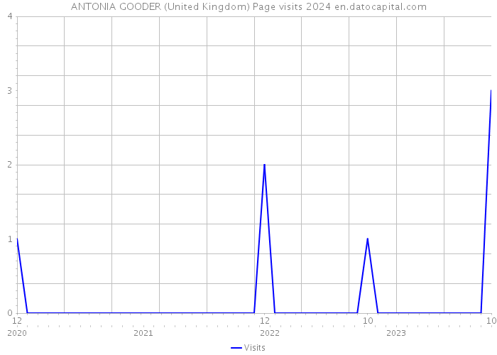ANTONIA GOODER (United Kingdom) Page visits 2024 