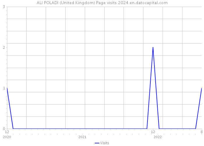 ALI POLADI (United Kingdom) Page visits 2024 