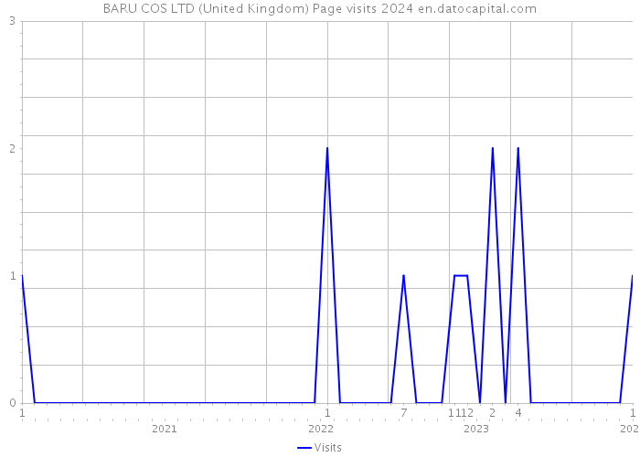 BARU COS LTD (United Kingdom) Page visits 2024 