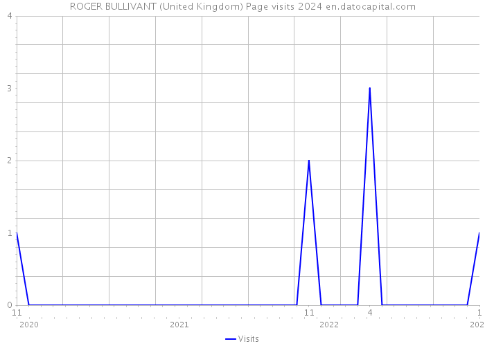 ROGER BULLIVANT (United Kingdom) Page visits 2024 