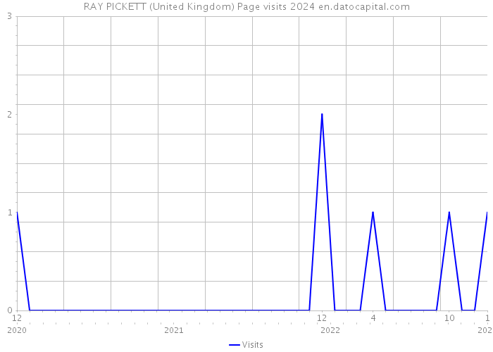 RAY PICKETT (United Kingdom) Page visits 2024 
