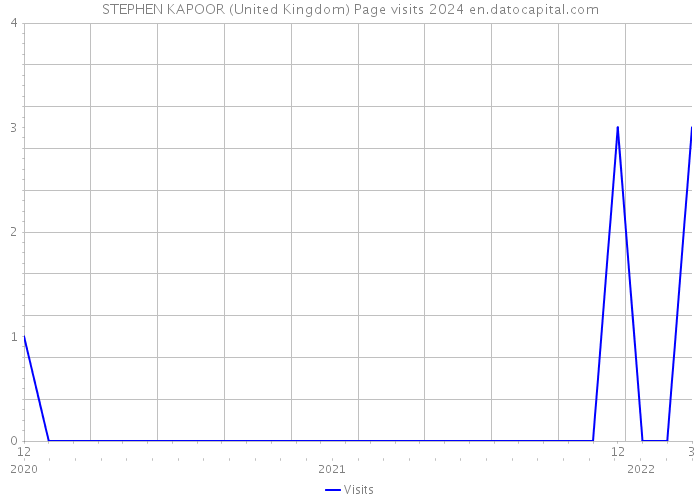 STEPHEN KAPOOR (United Kingdom) Page visits 2024 