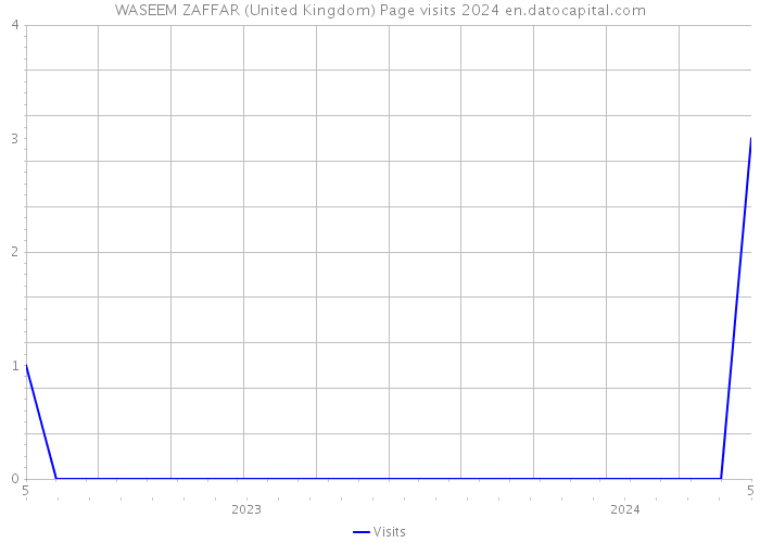 WASEEM ZAFFAR (United Kingdom) Page visits 2024 