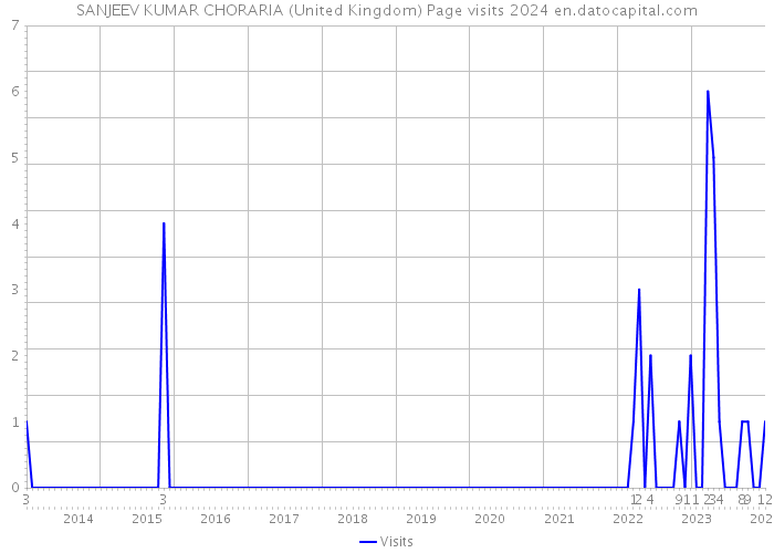 SANJEEV KUMAR CHORARIA (United Kingdom) Page visits 2024 