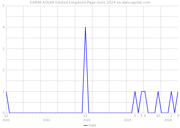 KARIM AOUNI (United Kingdom) Page visits 2024 