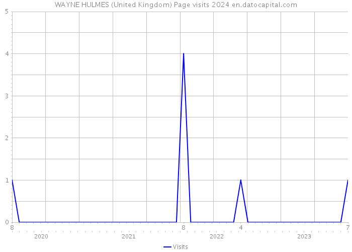 WAYNE HULMES (United Kingdom) Page visits 2024 
