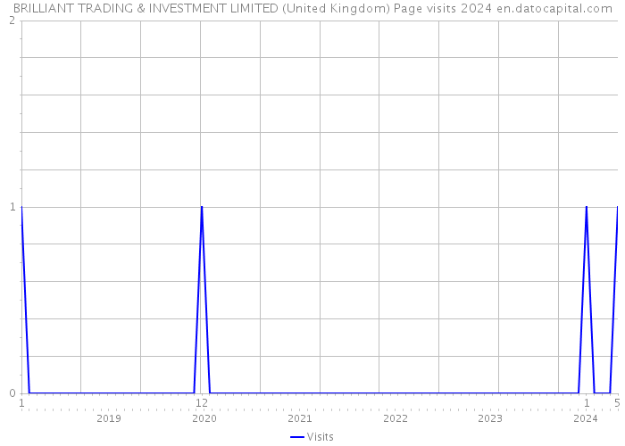 BRILLIANT TRADING & INVESTMENT LIMITED (United Kingdom) Page visits 2024 
