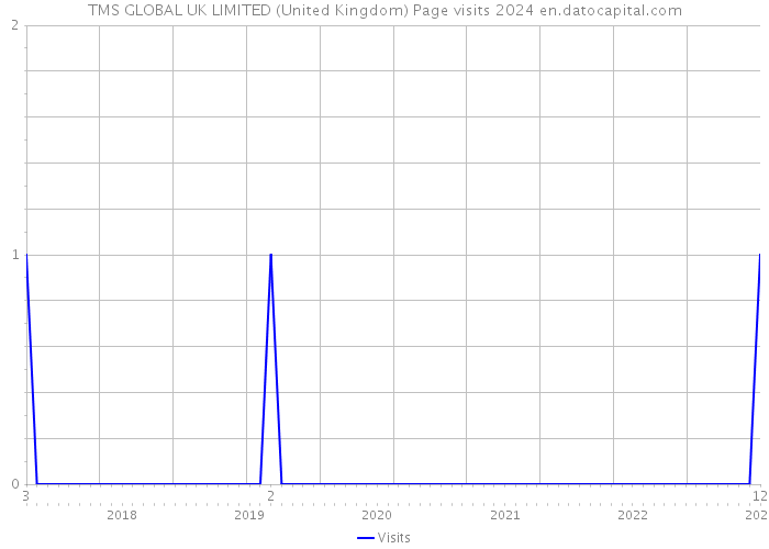 TMS GLOBAL UK LIMITED (United Kingdom) Page visits 2024 