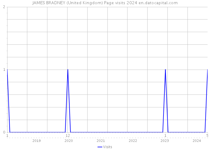 JAMES BRADNEY (United Kingdom) Page visits 2024 