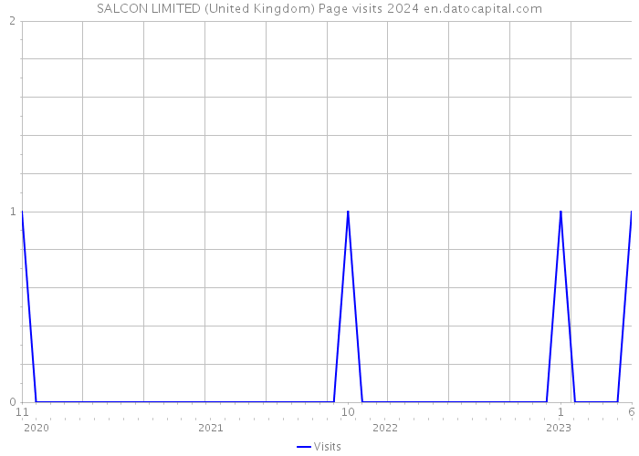 SALCON LIMITED (United Kingdom) Page visits 2024 