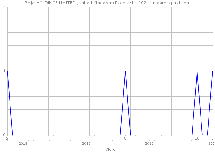 RAJA HOLDINGS LIMITED (United Kingdom) Page visits 2024 