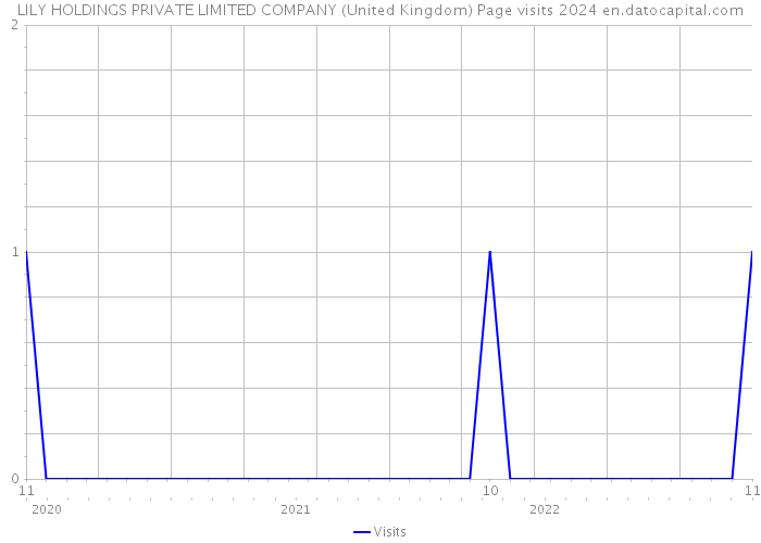LILY HOLDINGS PRIVATE LIMITED COMPANY (United Kingdom) Page visits 2024 