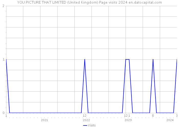 YOU PICTURE THAT LIMITED (United Kingdom) Page visits 2024 