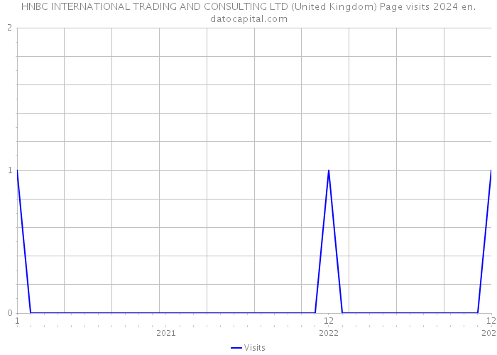 HNBC INTERNATIONAL TRADING AND CONSULTING LTD (United Kingdom) Page visits 2024 