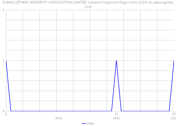 SOMALI ETHNIC MINORITY ASSOCIATION LIMITED (United Kingdom) Page visits 2024 