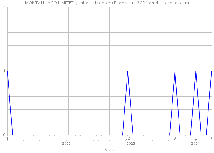 MONTAN LAGO LIMITED (United Kingdom) Page visits 2024 