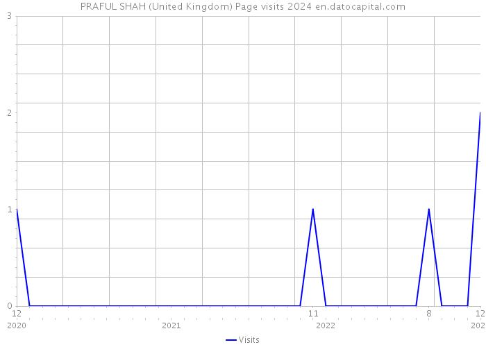 PRAFUL SHAH (United Kingdom) Page visits 2024 