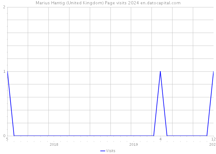 Marius Hantig (United Kingdom) Page visits 2024 