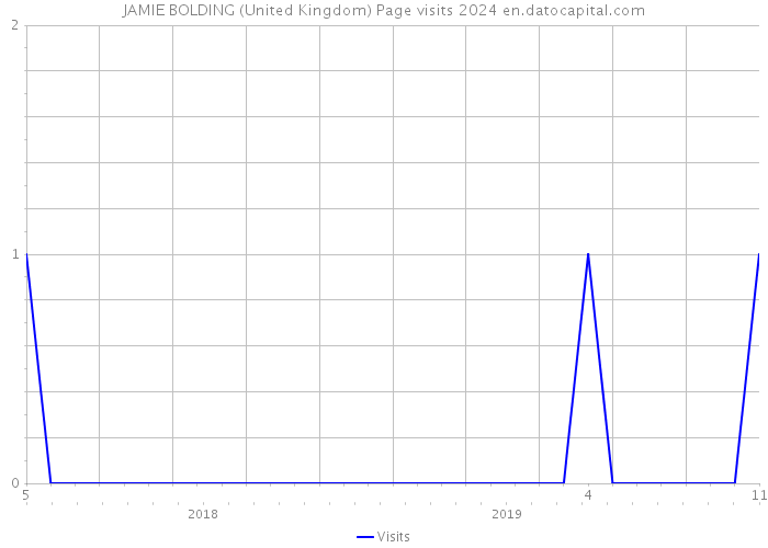 JAMIE BOLDING (United Kingdom) Page visits 2024 