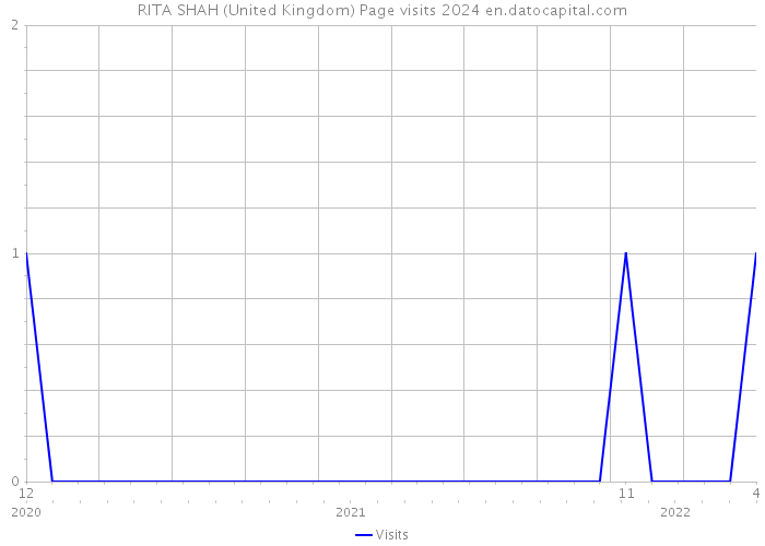 RITA SHAH (United Kingdom) Page visits 2024 
