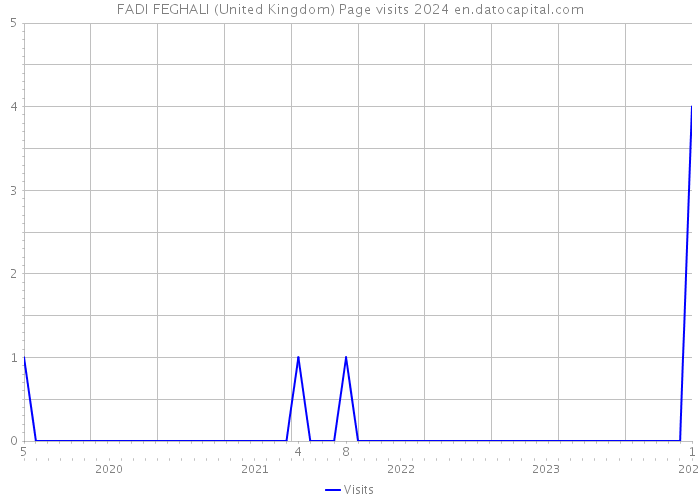 FADI FEGHALI (United Kingdom) Page visits 2024 