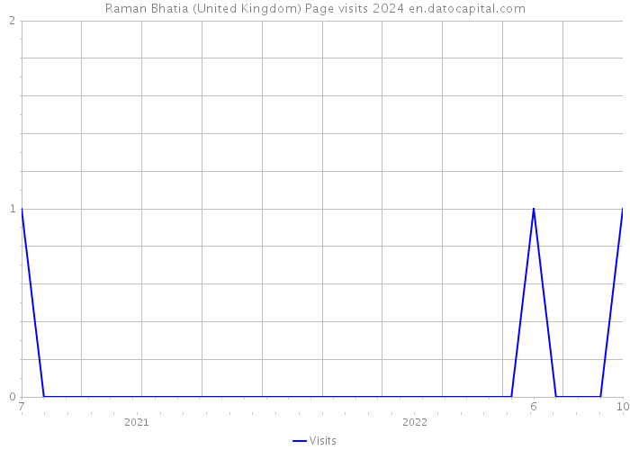 Raman Bhatia (United Kingdom) Page visits 2024 