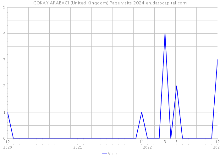 GOKAY ARABACI (United Kingdom) Page visits 2024 
