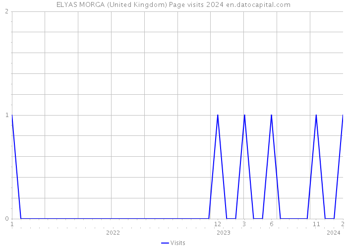 ELYAS MORGA (United Kingdom) Page visits 2024 