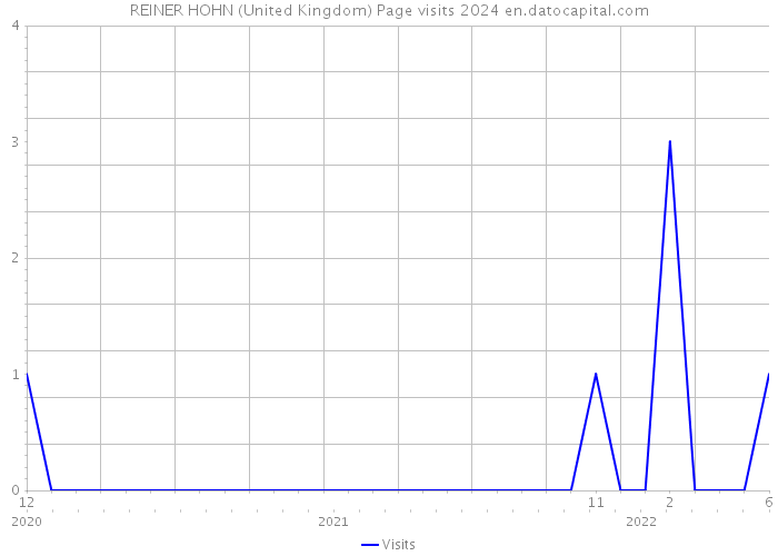 REINER HOHN (United Kingdom) Page visits 2024 