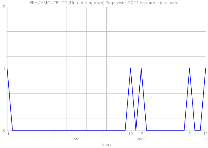 BRACAMONTE LTD (United Kingdom) Page visits 2024 