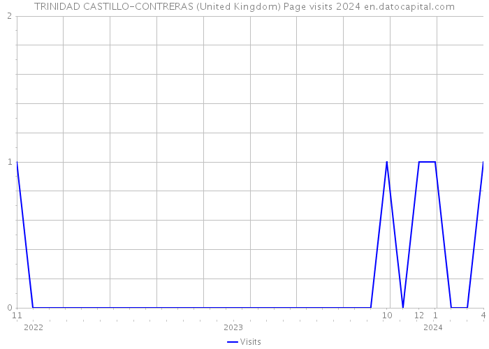 TRINIDAD CASTILLO-CONTRERAS (United Kingdom) Page visits 2024 