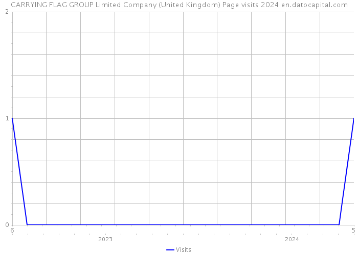CARRYING FLAG GROUP Limited Company (United Kingdom) Page visits 2024 