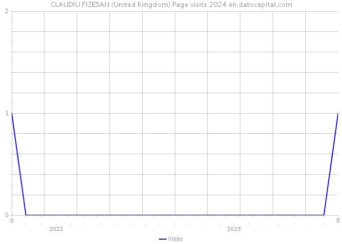 CLAUDIU FIZESAN (United Kingdom) Page visits 2024 