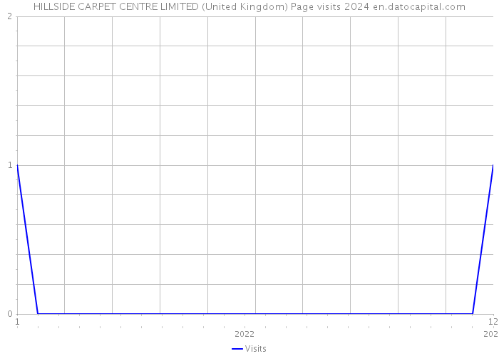 HILLSIDE CARPET CENTRE LIMITED (United Kingdom) Page visits 2024 