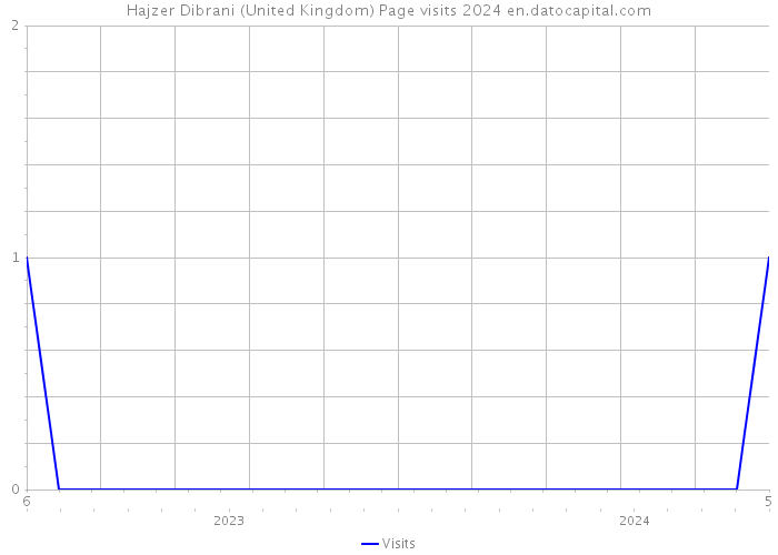 Hajzer Dibrani (United Kingdom) Page visits 2024 