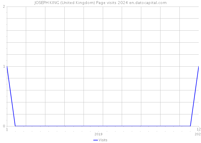 JOSEPH KING (United Kingdom) Page visits 2024 