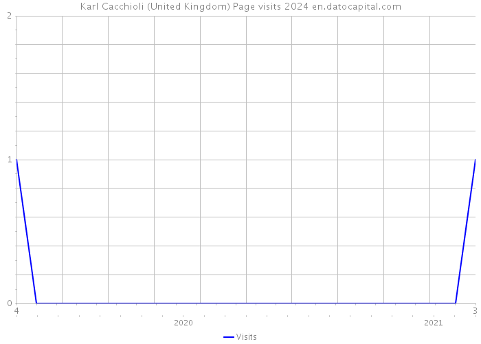 Karl Cacchioli (United Kingdom) Page visits 2024 