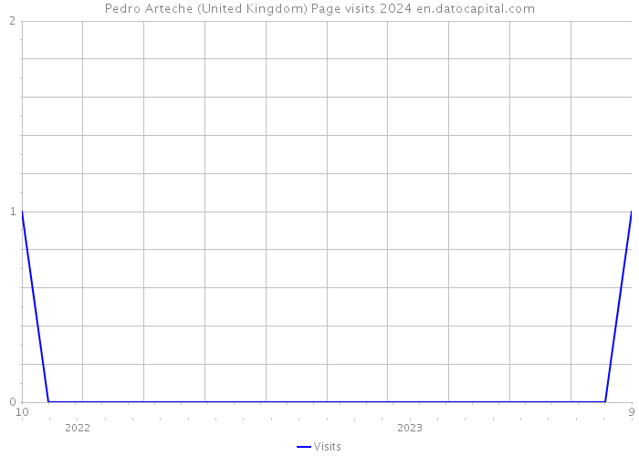 Pedro Arteche (United Kingdom) Page visits 2024 