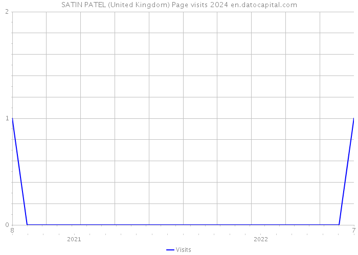 SATIN PATEL (United Kingdom) Page visits 2024 