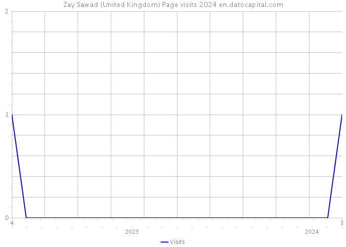 Zay Sawad (United Kingdom) Page visits 2024 