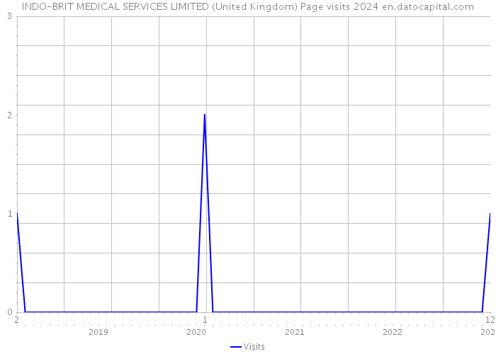 INDO-BRIT MEDICAL SERVICES LIMITED (United Kingdom) Page visits 2024 
