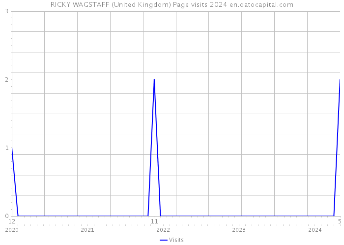 RICKY WAGSTAFF (United Kingdom) Page visits 2024 