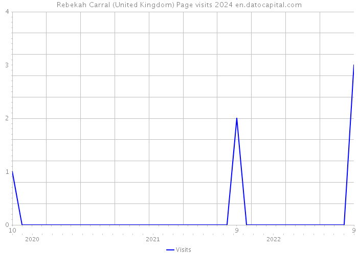 Rebekah Carral (United Kingdom) Page visits 2024 
