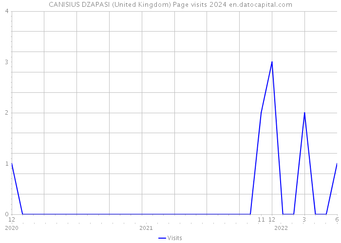 CANISIUS DZAPASI (United Kingdom) Page visits 2024 